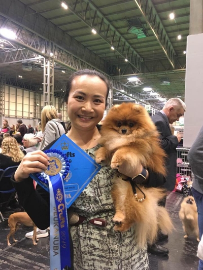 Joshi-crufts 2019 Joshi-crufts 2019