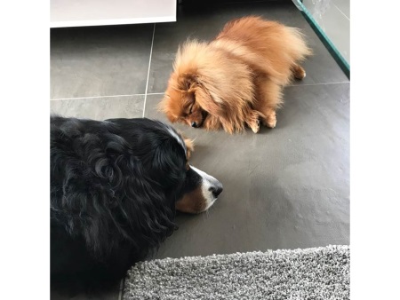 Luna-3 Luna-3