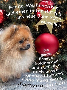 Weihnachtskarte-j