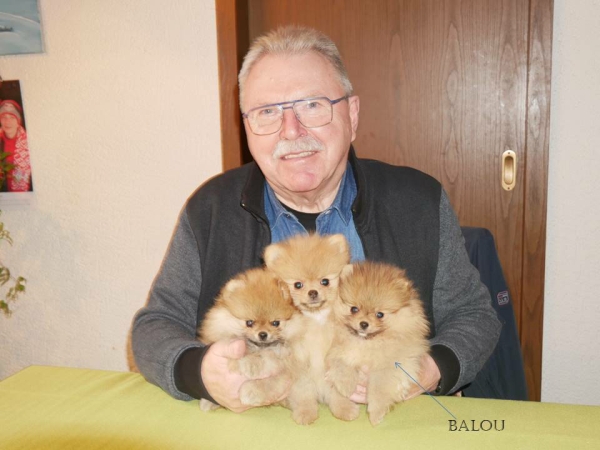 balou_Folie34 balou_Folie34