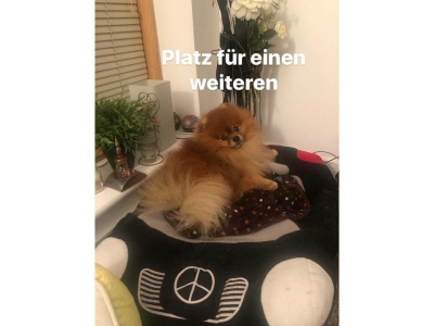joshi-2019-Folie7 joshi-2019-Folie7